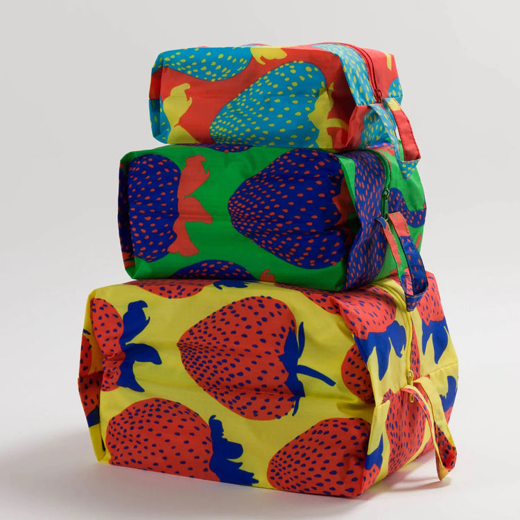 Baggu - 3D Zip Pouch Set