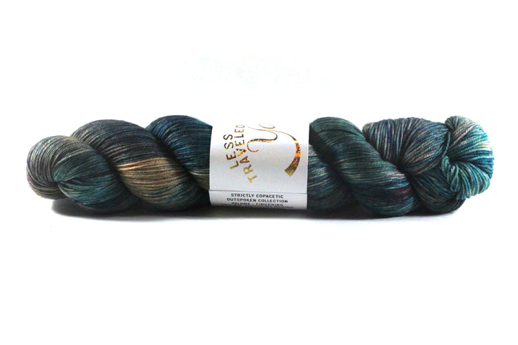 Less Traveled Yarn - Paloma