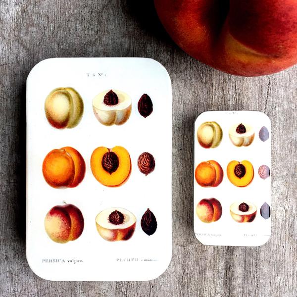 Firefly Notes - Large Enamel Tins