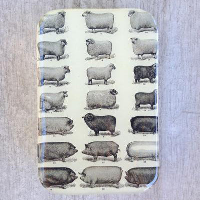 Firefly Notes - Large Enamel Tins