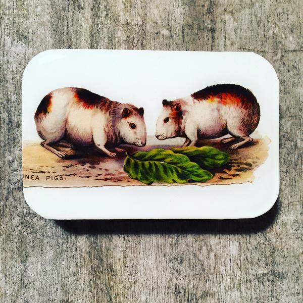 Firefly Notes - Large Enamel Tins