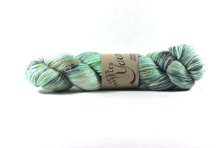 Less Traveled Yarn - Worsted