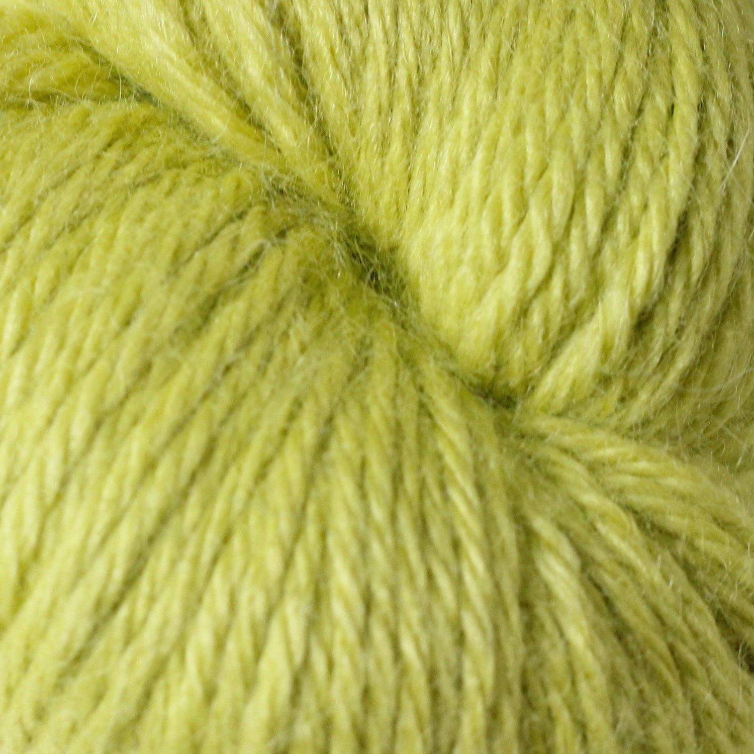 Alpaca