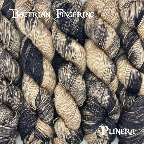 Yarn Dragon - Bactrian Fingering