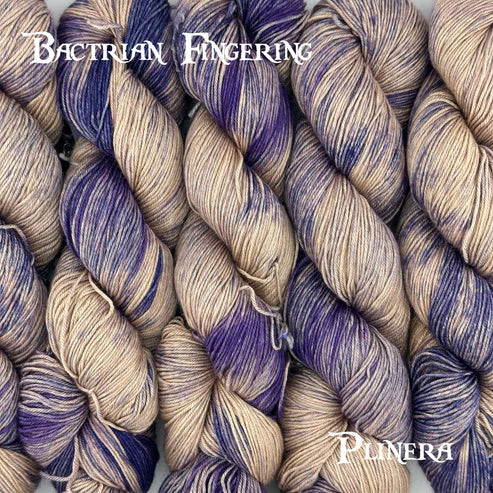 Yarn Dragon - Bactrian Fingering